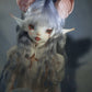Ears