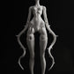 layla nude【Show only】