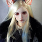 Ears
