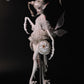 Mantis Opal【Show only】