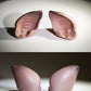 Ears