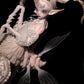 Mantis Opal【Show only】